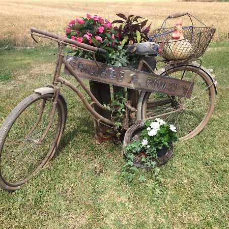 Le Grillage A Poules Bed & Breakfast Chateaubernard Ngoại thất bức ảnh